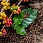 arabika kafa